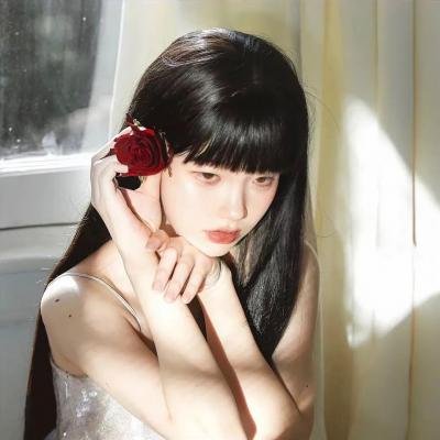 树袋熊